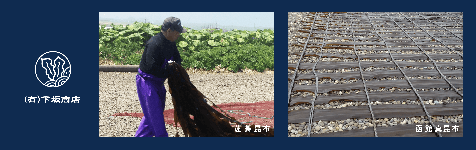 歯舞昆布と函館真昆布